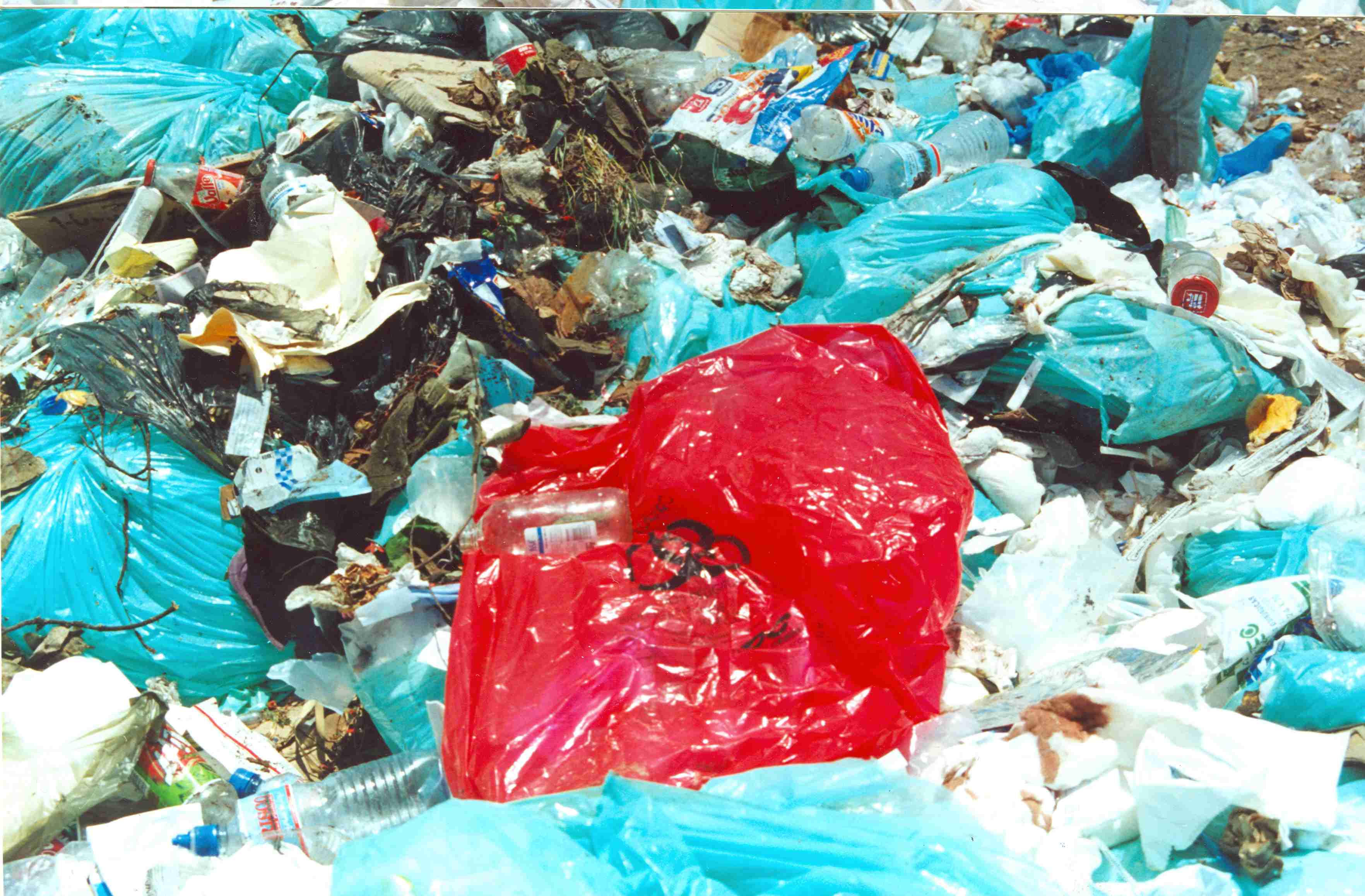 Bolsas_rojas
